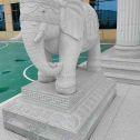 鹤岗 白麻花岗岩动物异形石雕-大象
